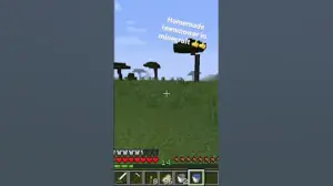 I bet none of y’all knew this #minecraft #letsplay #shorts