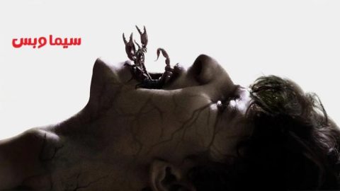 Sitemap thumb 68fb2d4086ce2.jpg